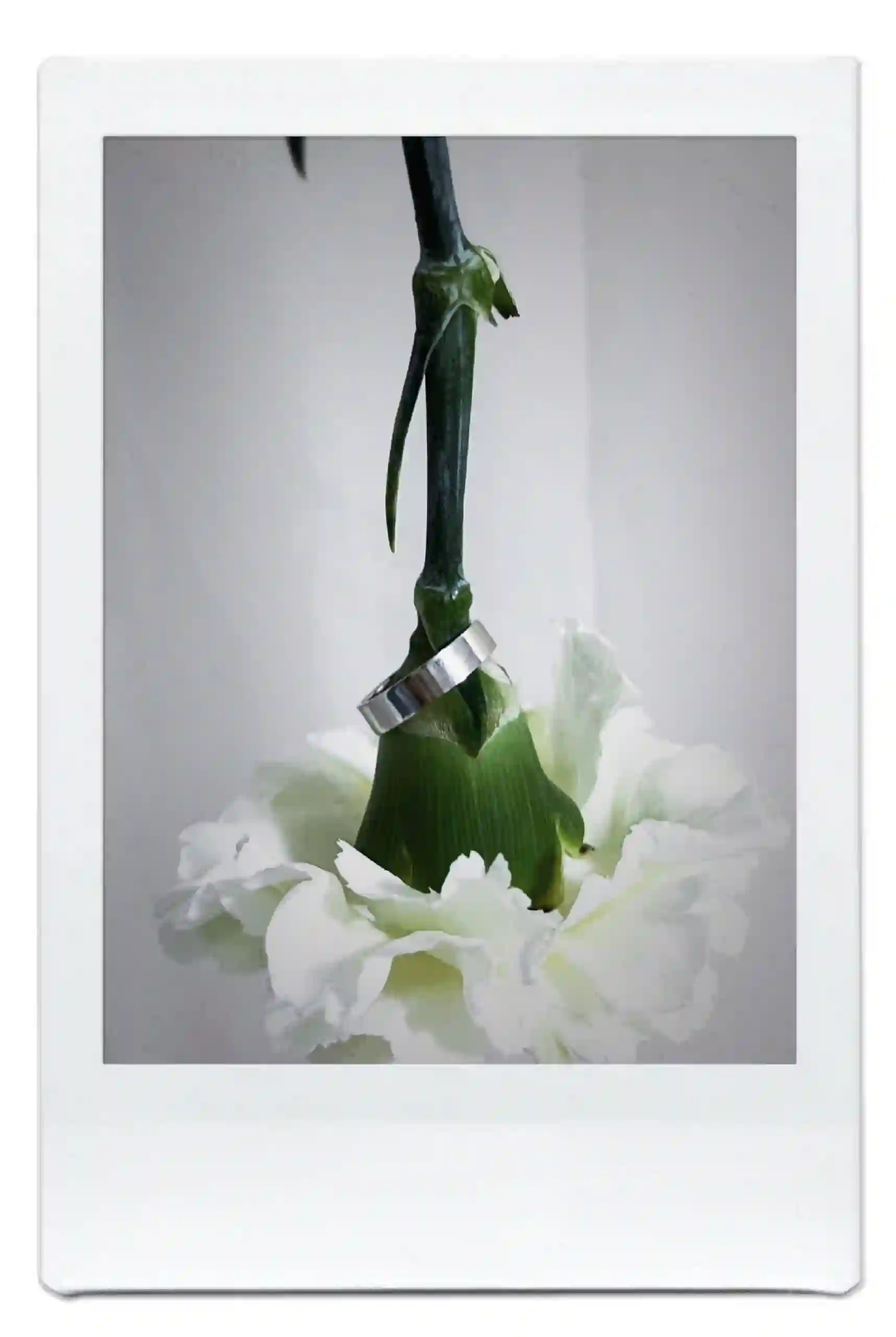 Ювелирное изделие на цветке Екатерины Соловьевой