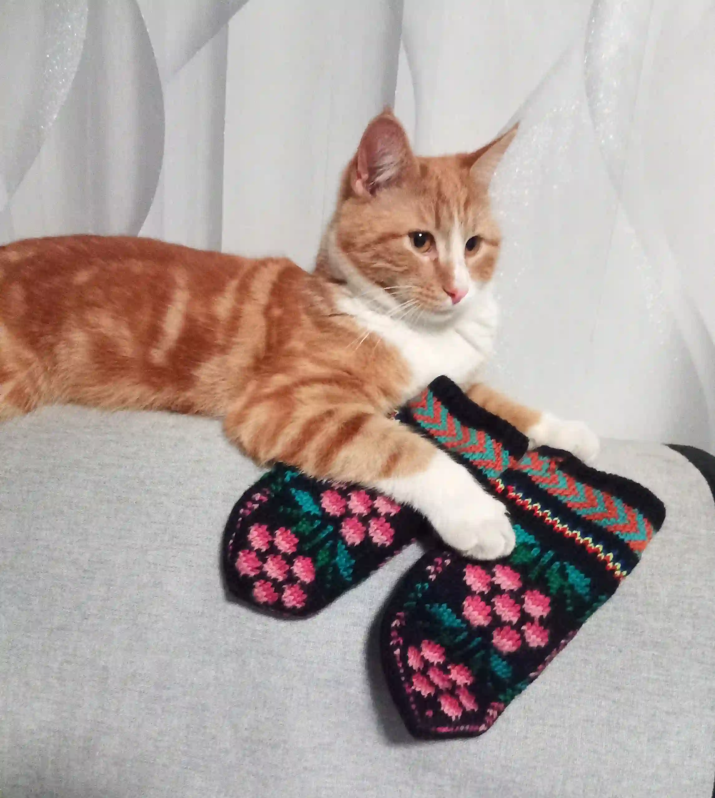 Рыжий кот с белыми лапами и грудью лежит на сером диване