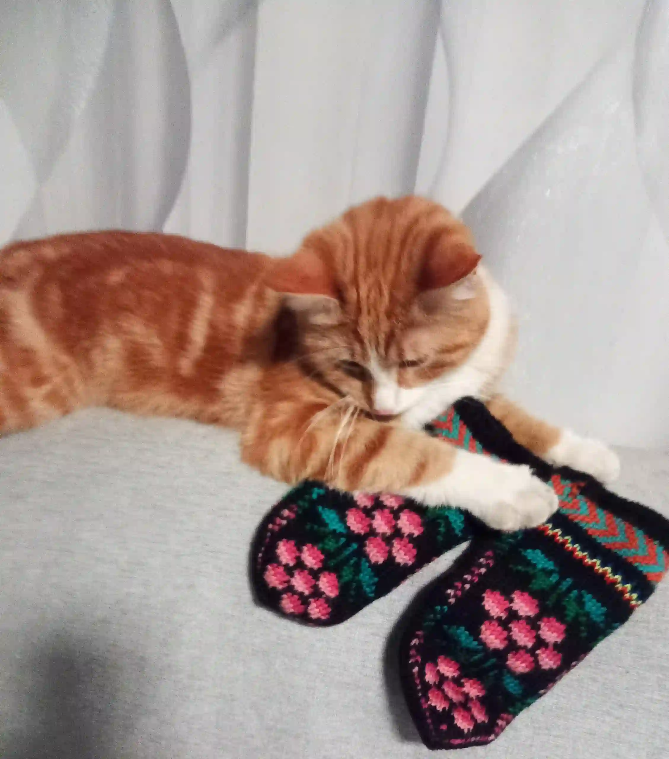 Рыжий кот с белыми лапами лежит на серой поверхности